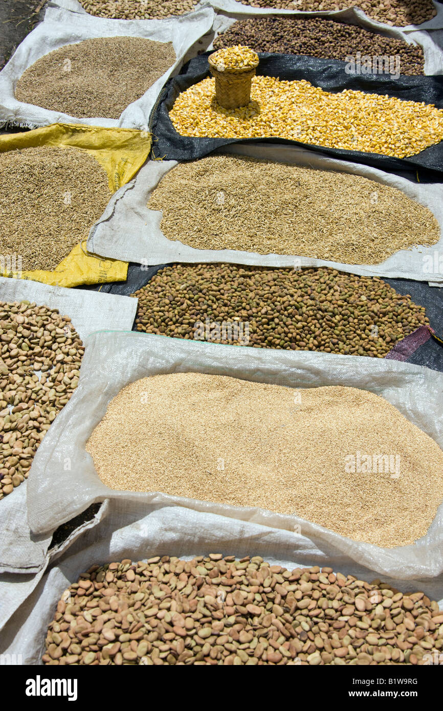 Semi di chicchi di grano e impulsi per la vendita al mercato di Saquisili nel Viale del vulcano in Ecuador Foto Stock