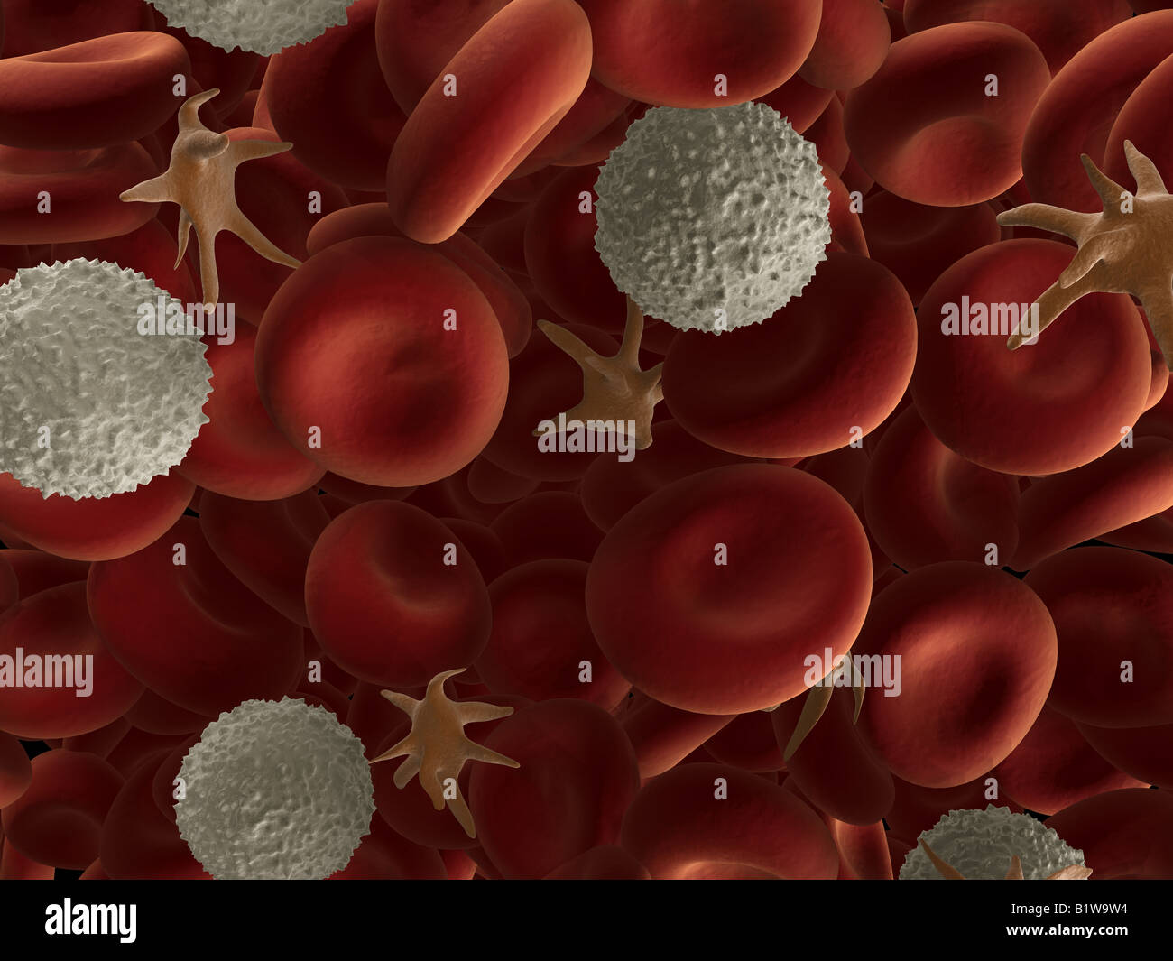 sangue umano Foto Stock