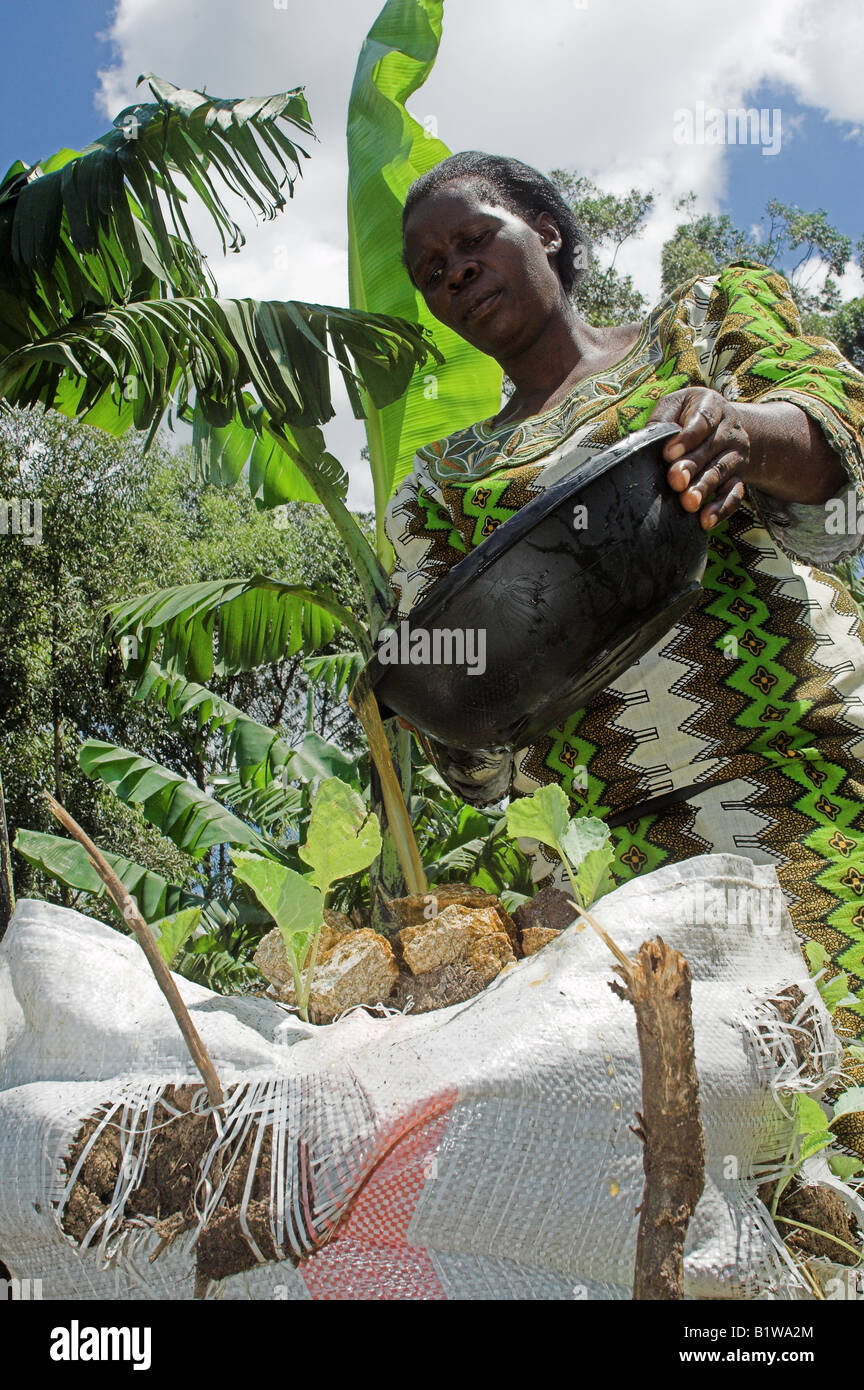 Donna africana in vivacemente colorato abiti sacchetto di irrigazione giardino progettato per trattenere acqua e ridurre erosione di suolo Foto Stock