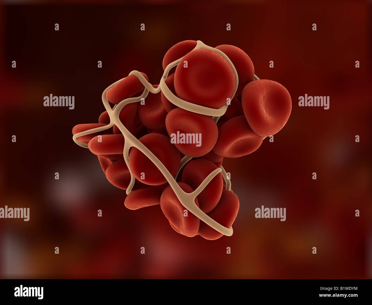 coagulo di sangue Foto Stock