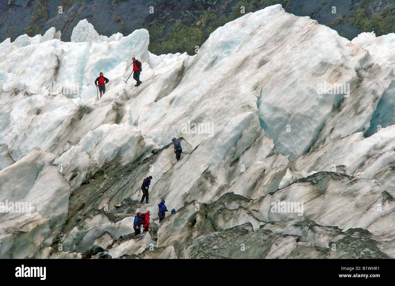 Nuova Zelanda Isola del Sud Costa Ovest Foto Stock