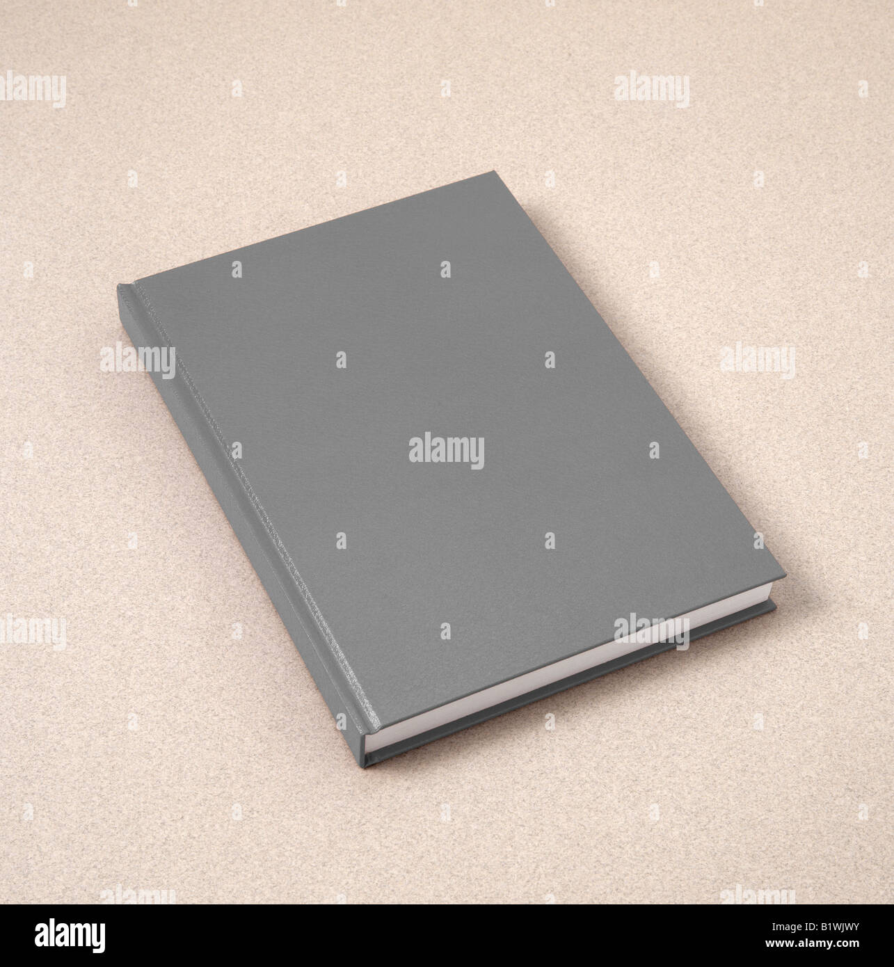 Industria della carta per la pubblicazione hardback grigio prenota Foto Stock