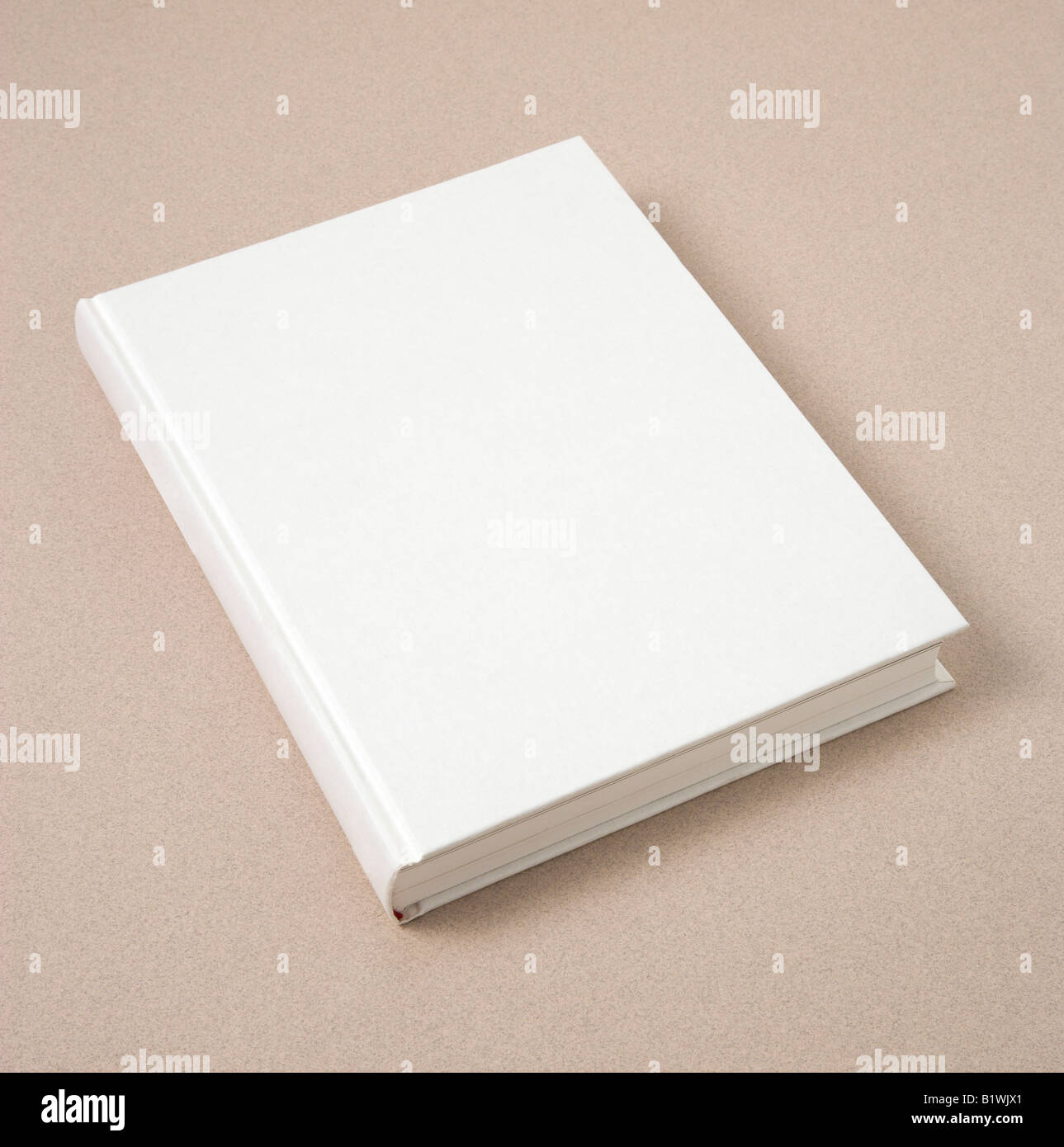 Industria della carta per la pubblicazione hardback bianco prenota Foto Stock