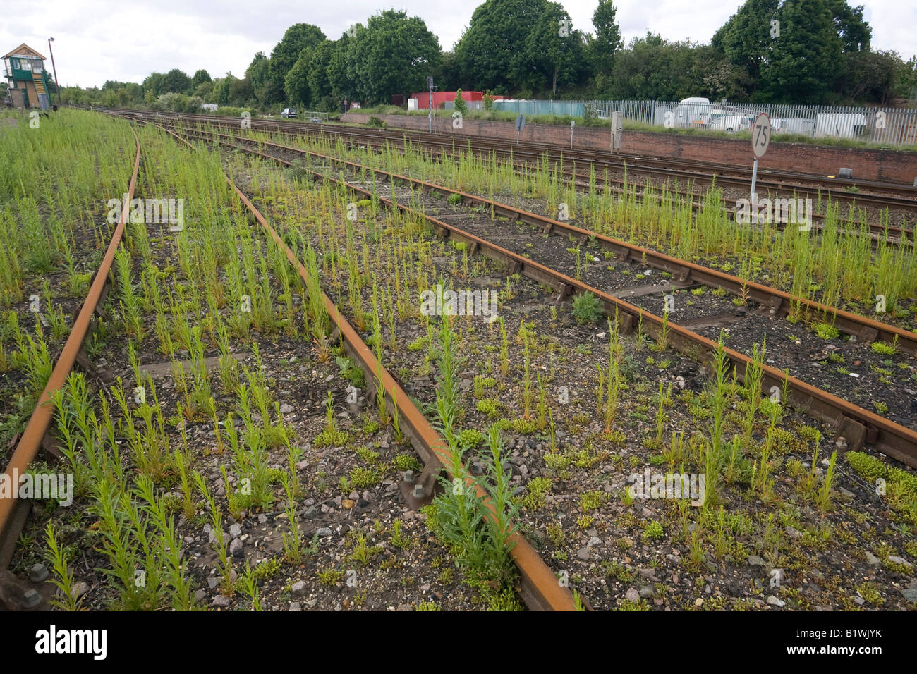 Vecchio arrugginito binari ferroviari con erbacce crescente Foto Stock