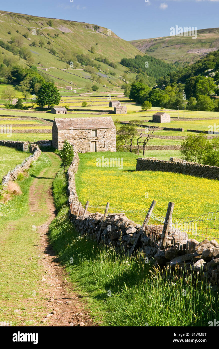 Fienili in pietra e prati fioriti sostenuti da Kisdon Hill, vicino Muker, Swaledale, Yorkshire Dales National Park, England, Regno Unito Foto Stock