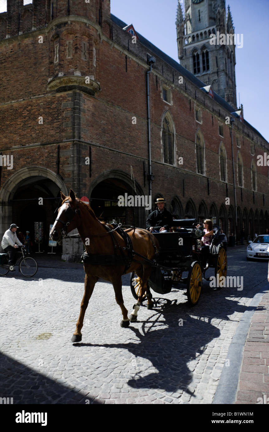Giro in carrozza trainata da cavalli, Bruges, Fiandre, Europa Foto Stock