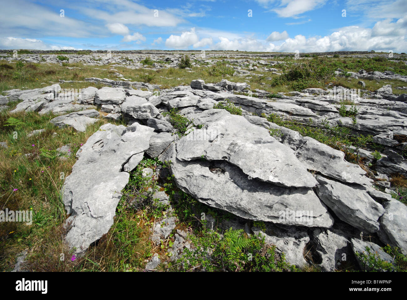 Il Burren. Co Clare, Irlanda. Foto Stock