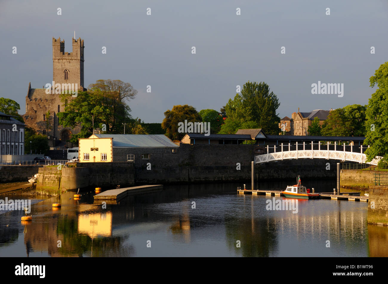 La Cattedrale di St Mary. Limerick, Irlanda. Foto Stock