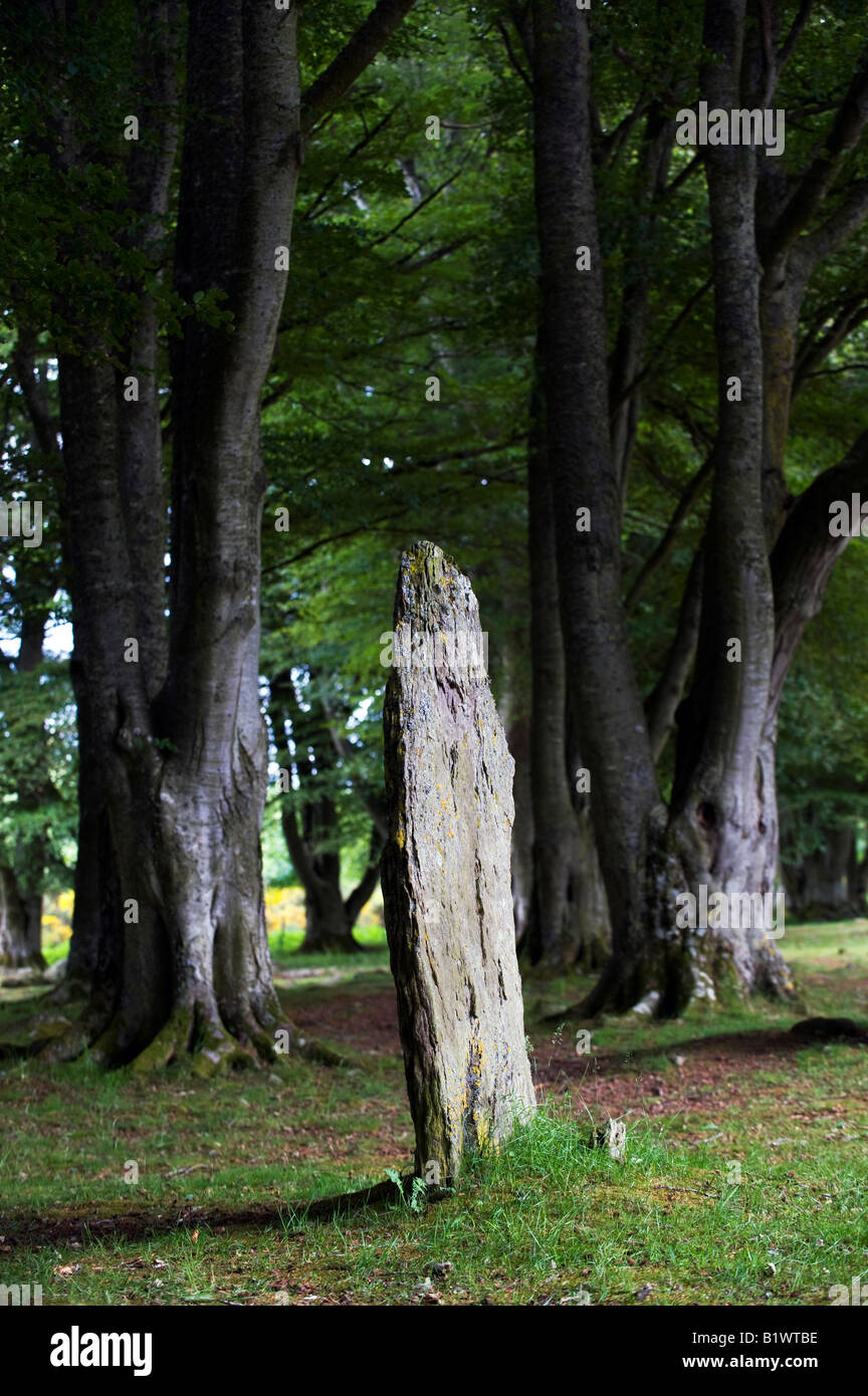 Pietre in piedi intorno a Clava Cairns camere funerarie, Nairnshire. La Scozia. Sepoltura preistorica di Cairns Bulnuaran di clava Foto Stock