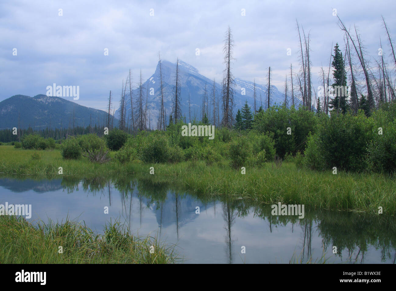 Riflessione di Mt. Rundle, villaggio di Banff, Alberta Foto Stock