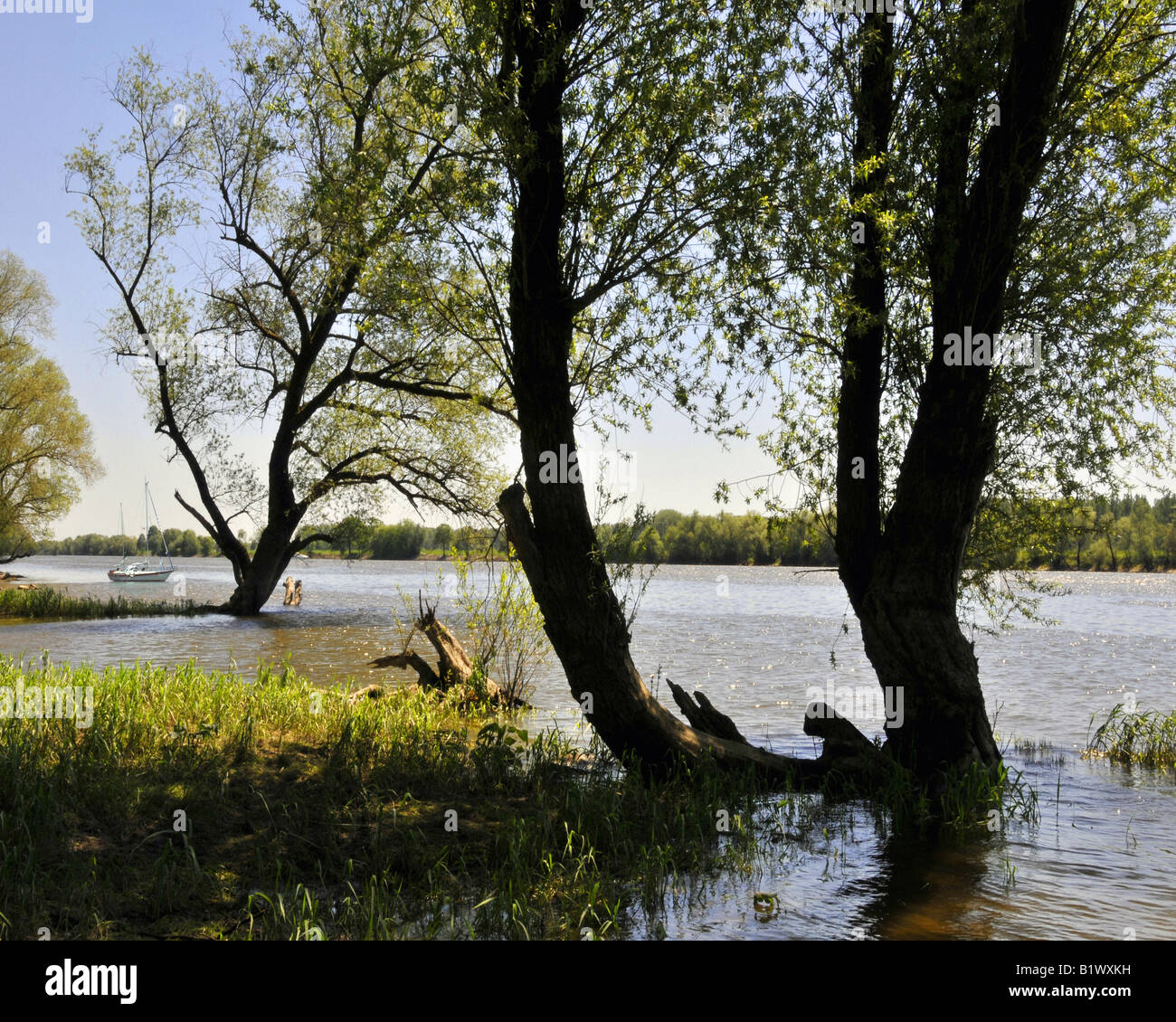 DE - Bassa Baviera: Fiume Danubio a Metten Foto Stock