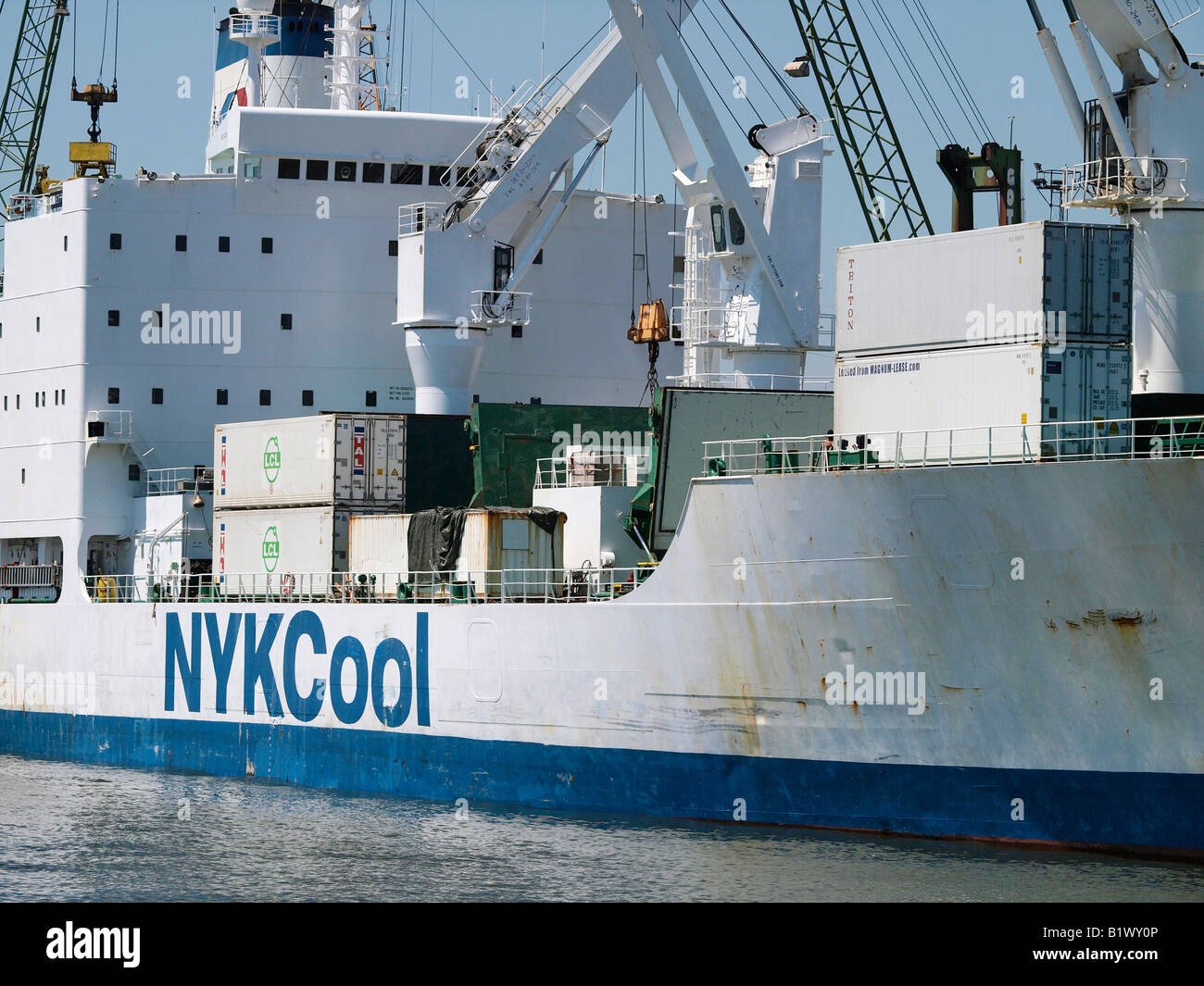 A livello globale il trasporto di frutta il porto di Anversa è il più grande di frutta e verdura porta d Europa Foto Stock