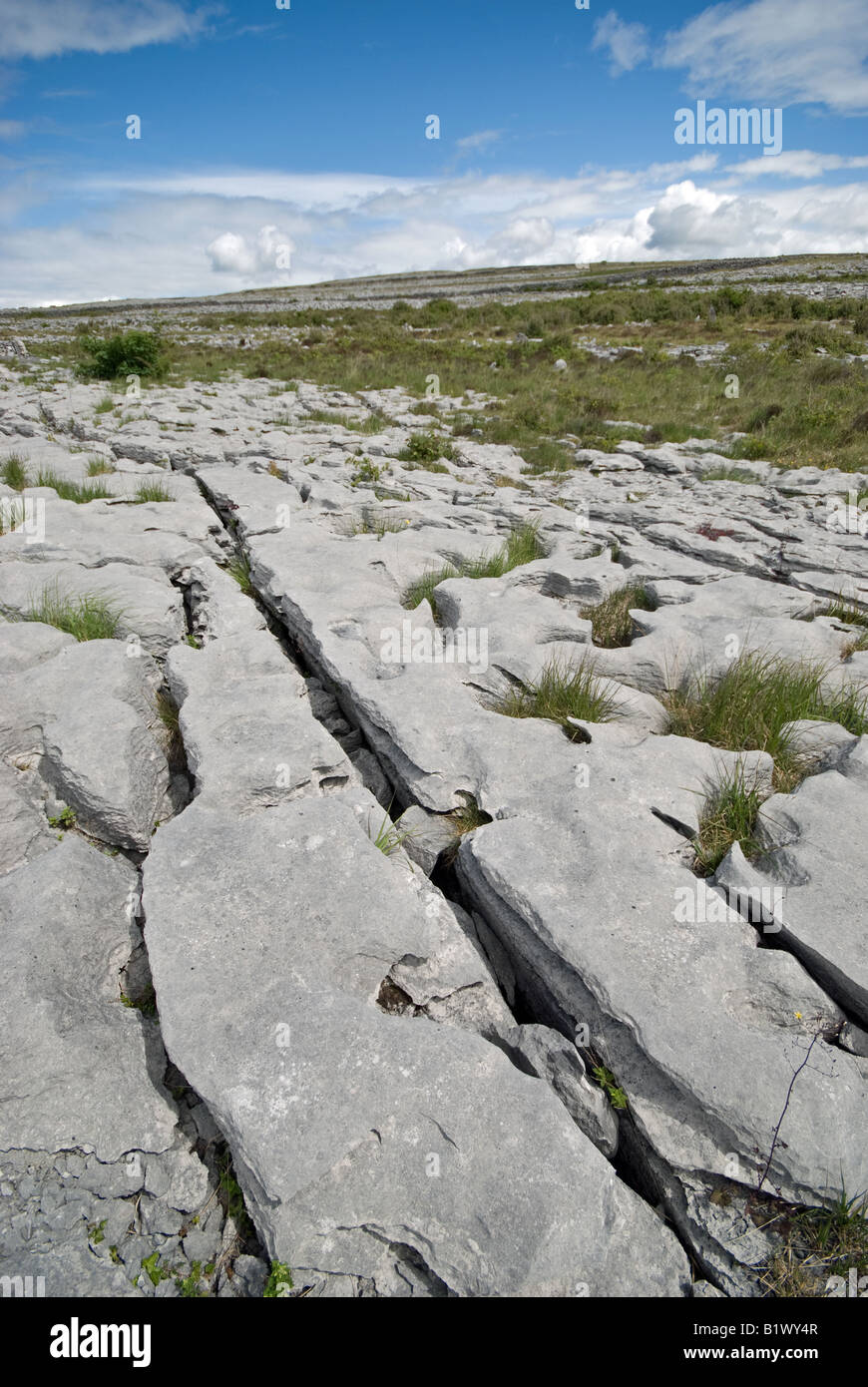 Il Burren. Co Clare, Irlanda. Foto Stock