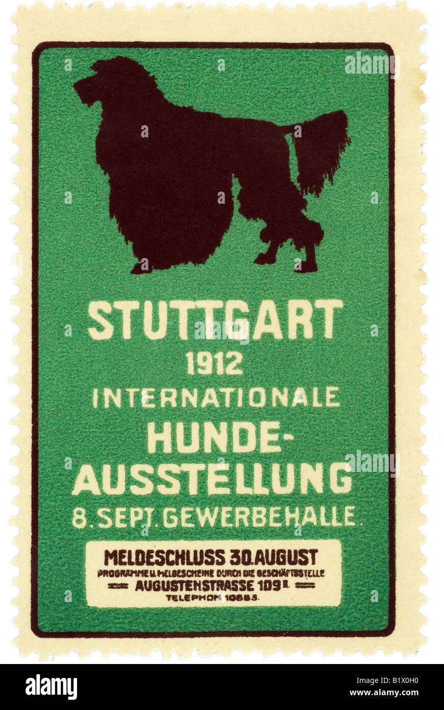 Stuttgart 1912 Internationale Hunde - Ausstellung 8. Sett. Gewerbehalle Foto Stock