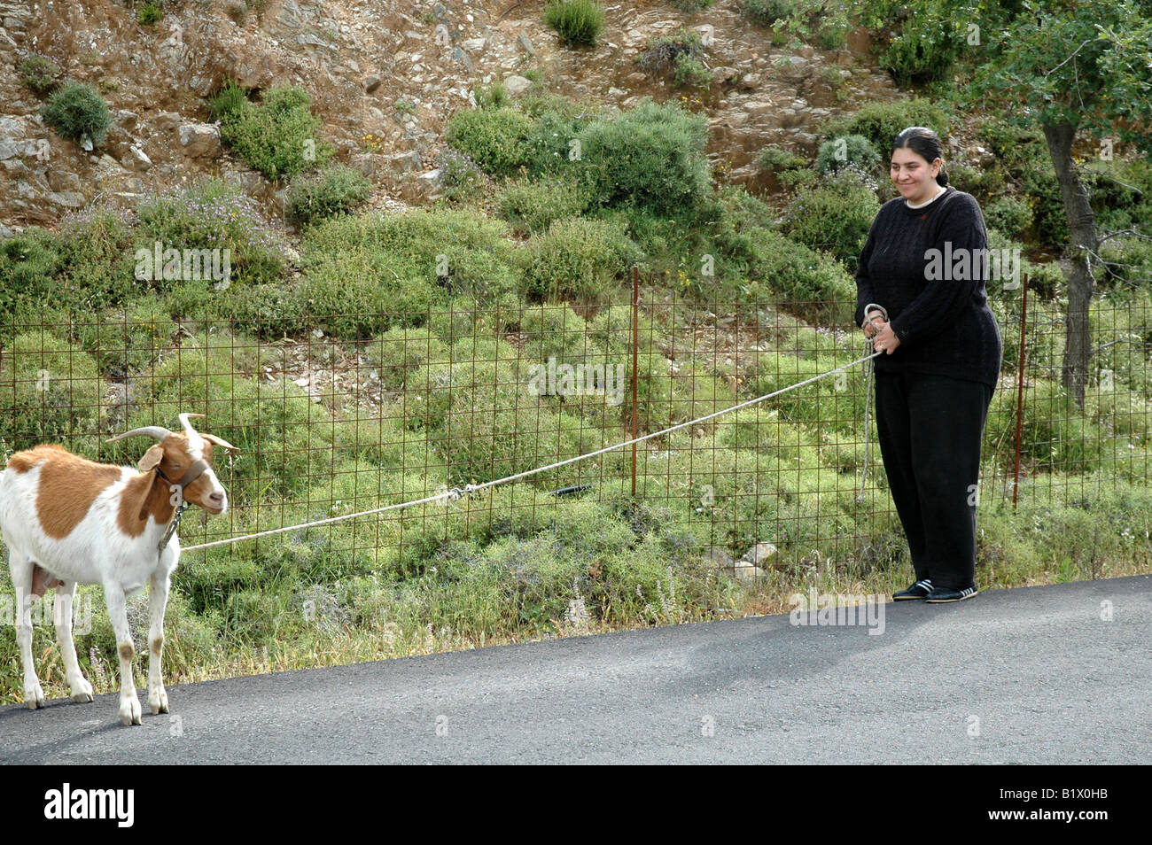 Signora in nero di capra di trazione sulla fune Creta Grecia Foto Stock