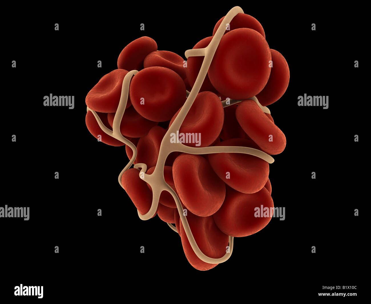 coagulo di sangue Foto Stock