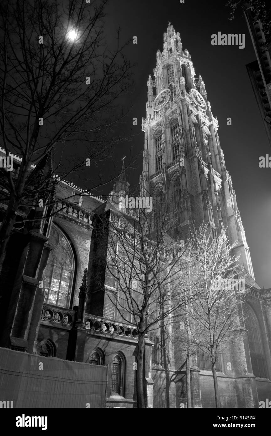 Vista notturna della Cattedrale di Nostra Signora di Anversa (Belgio) Foto Stock
