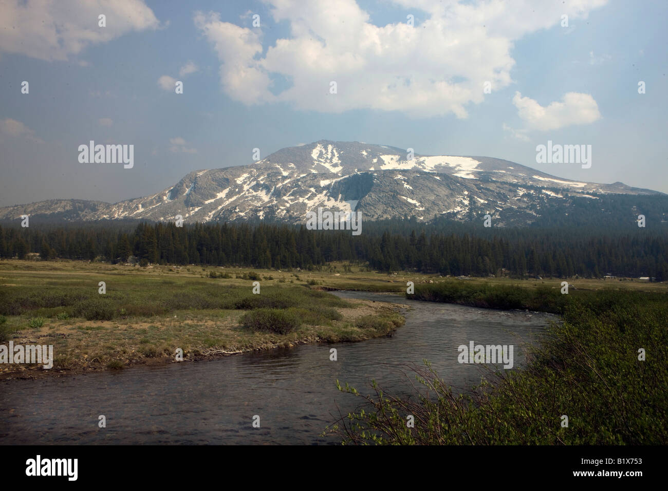 Dana prati con Mammoth picco in background, Yosemite National Park, California, Stati Uniti d'America. Foto Stock