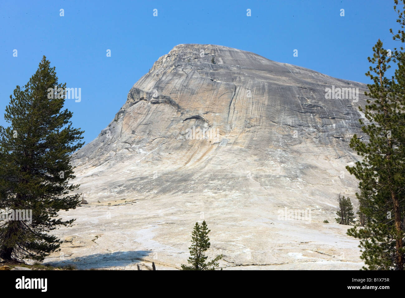 Dome Lembert, Yosemite National Park, California, Stati Uniti d'America. Foto Stock