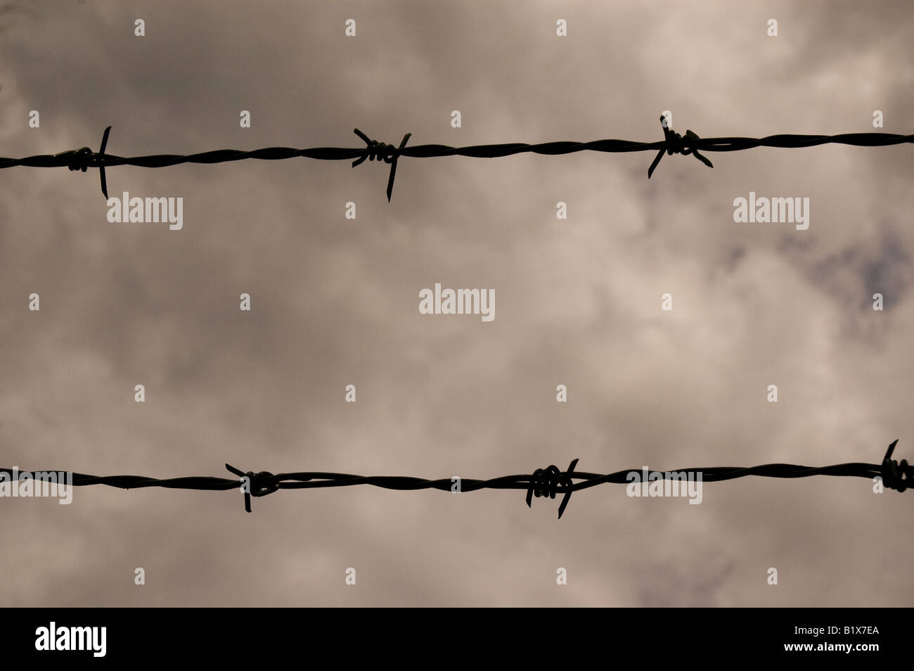 Filo spinato barbwire scherma nuvole infausto carcere lo stress del crimine senza sconfinamenti di paura di sicurezza recintato nel concetto. Vedere b1x5CG per tagliare su bianco Foto Stock