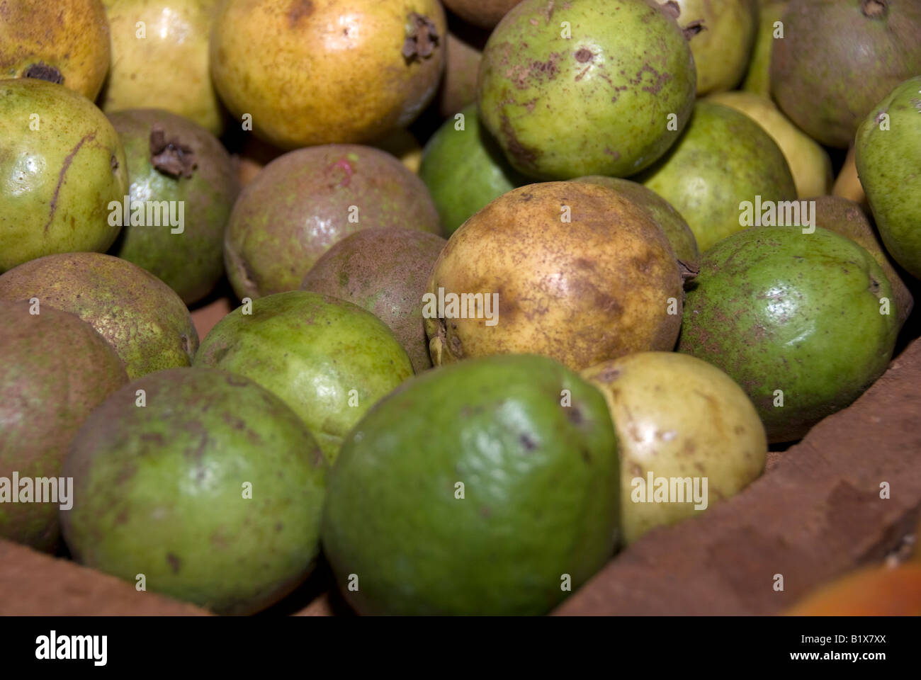 Mercato cubano di Guava Foto Stock