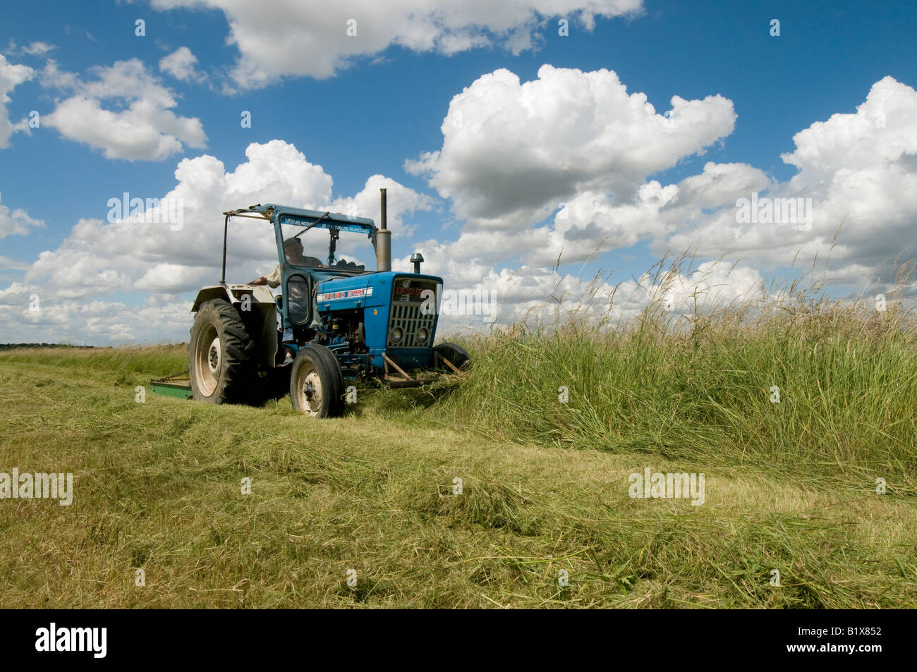 Coltivatore su Old Ford 2000 trattore il taglio di prato, sud-Touraine, Francia. Foto Stock