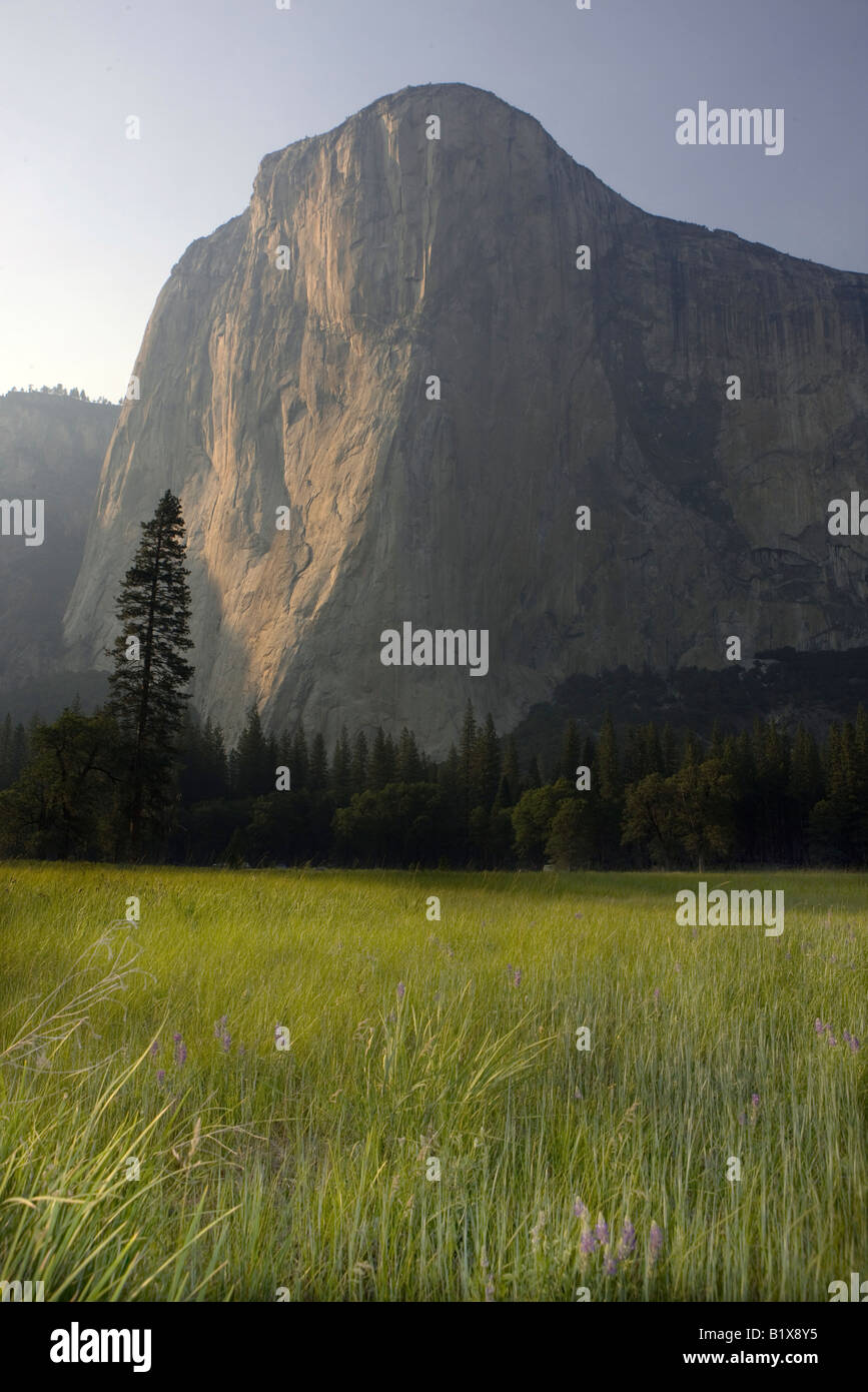 El Capitan, Yosemite National Park, California, Stati Uniti d'America. Foto Stock