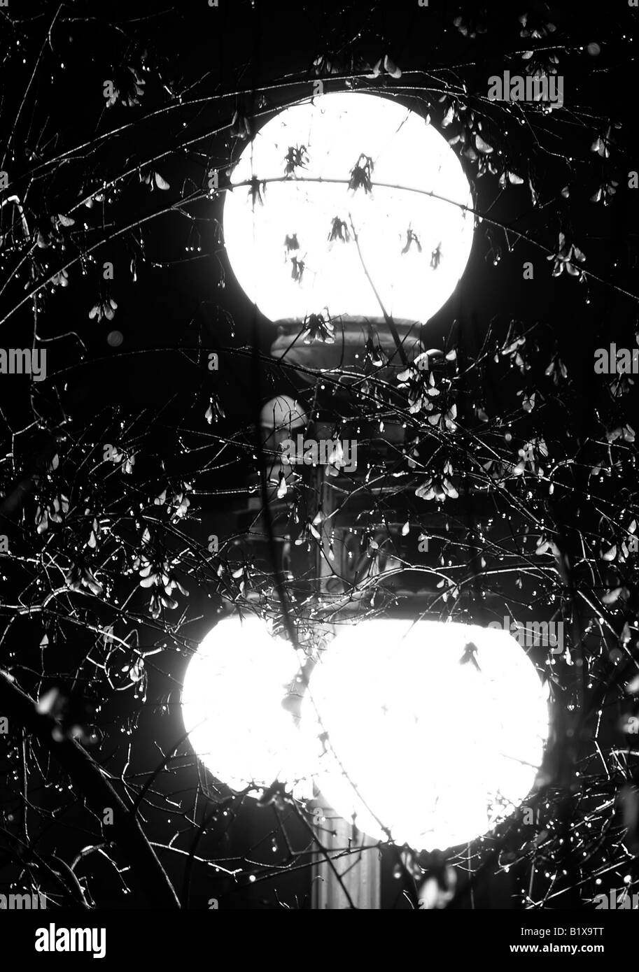 Una luce di strada nella Vecchia Quebec City su una nebbia e bagnata notte a gennaio. Foto Stock