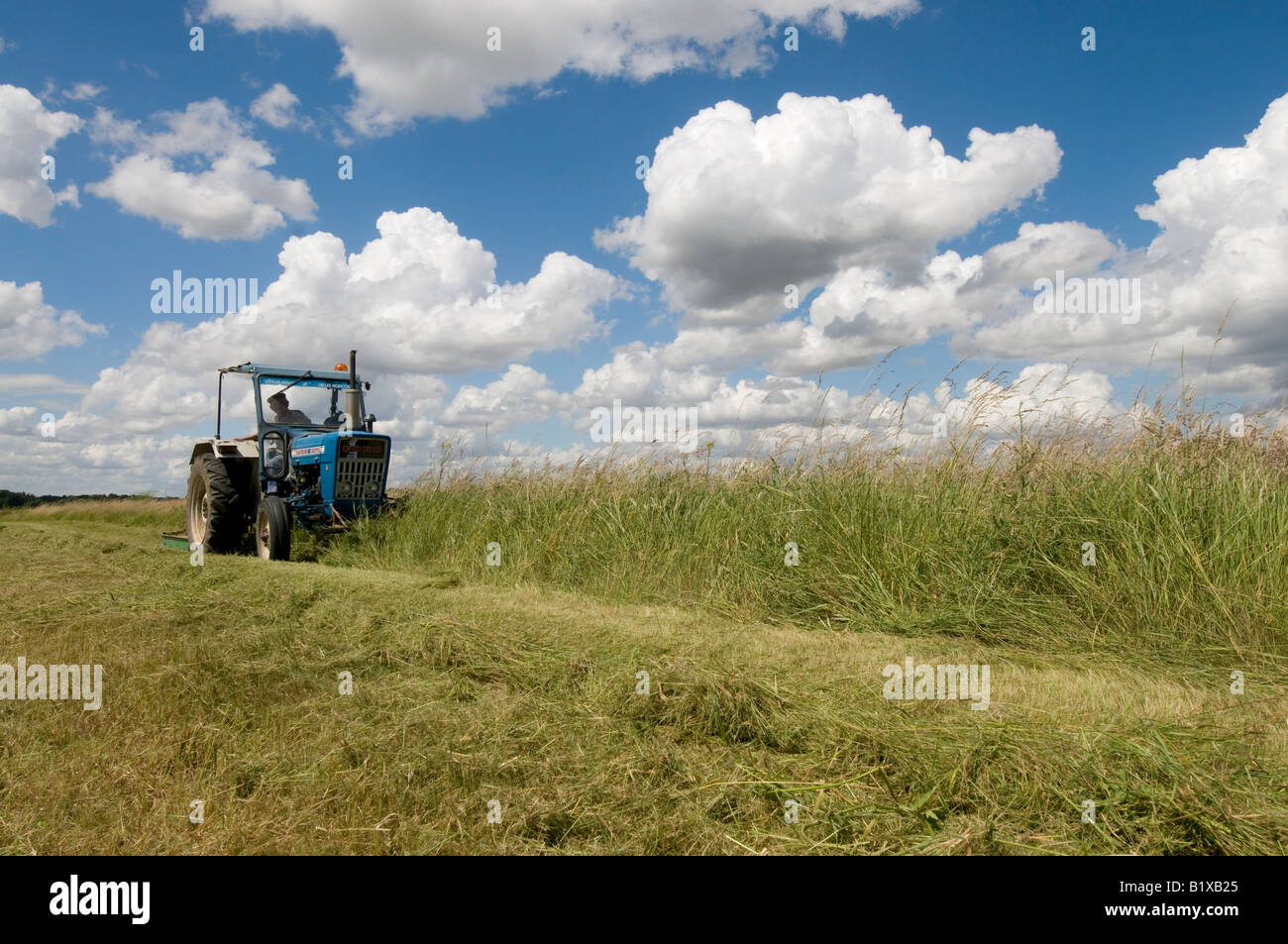 Coltivatore su Old Ford 2000 trattore il taglio di prato, sud-Touraine, Francia. Foto Stock
