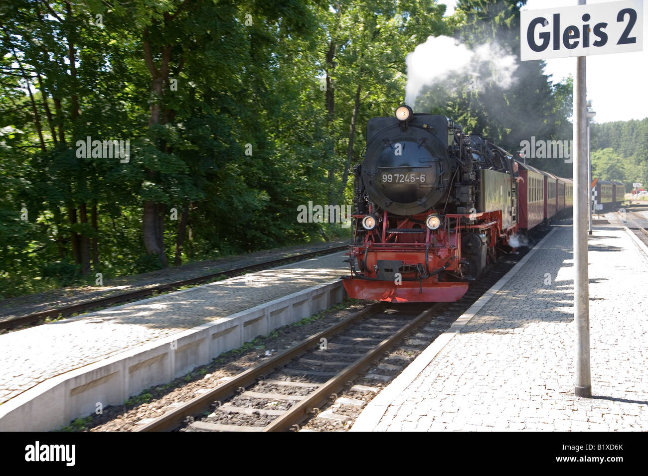 L'Harz ferrovia a scartamento ridotto in Drei Annen Hohne, Germania Foto Stock