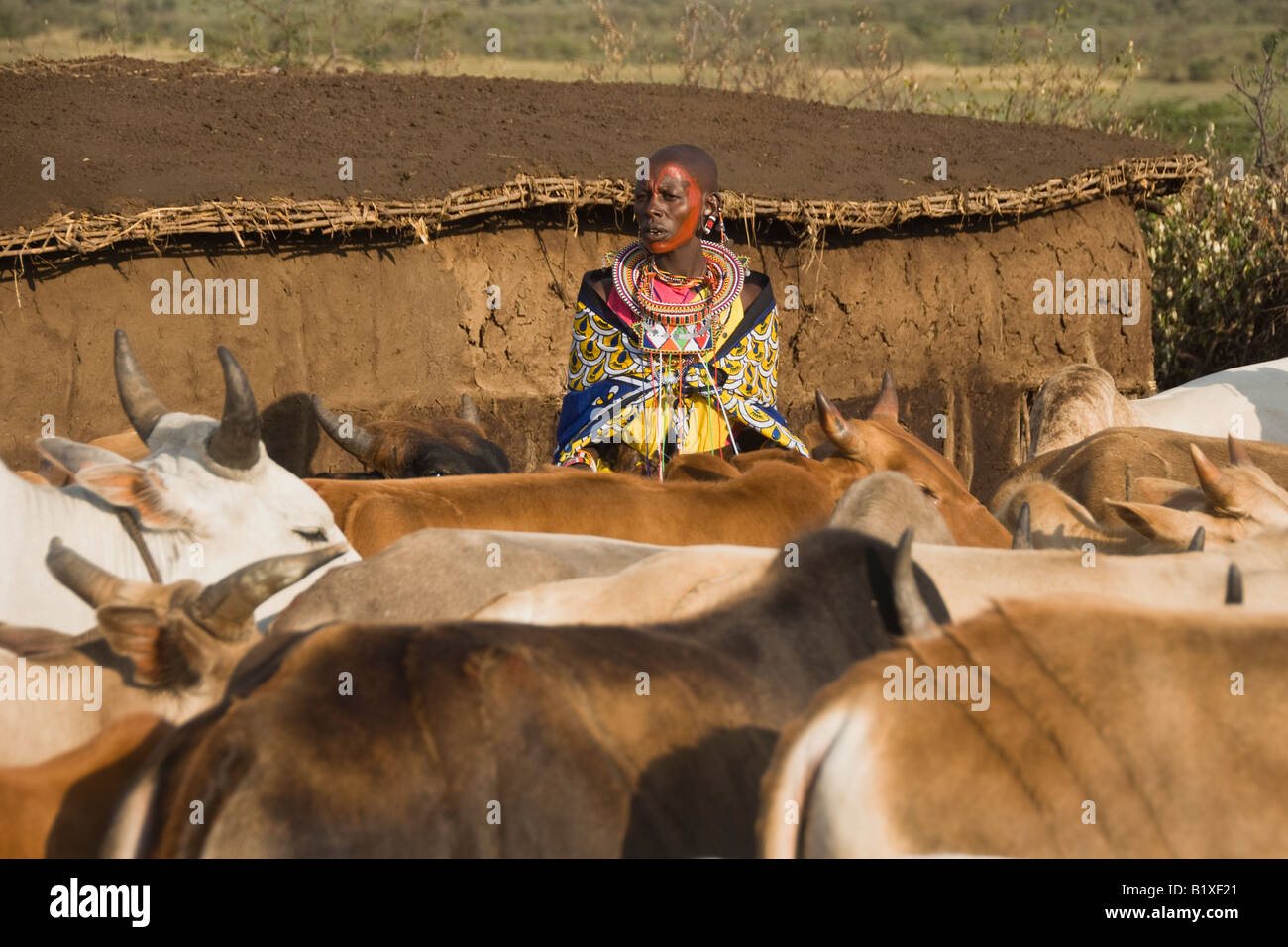 Donna Masai, Kenya, Africa Foto Stock