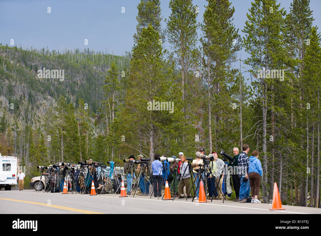 Una fila di fotografi di scattare le foto della fauna nel Parco Nazionale di Yellowstone, Wyoming Foto Stock