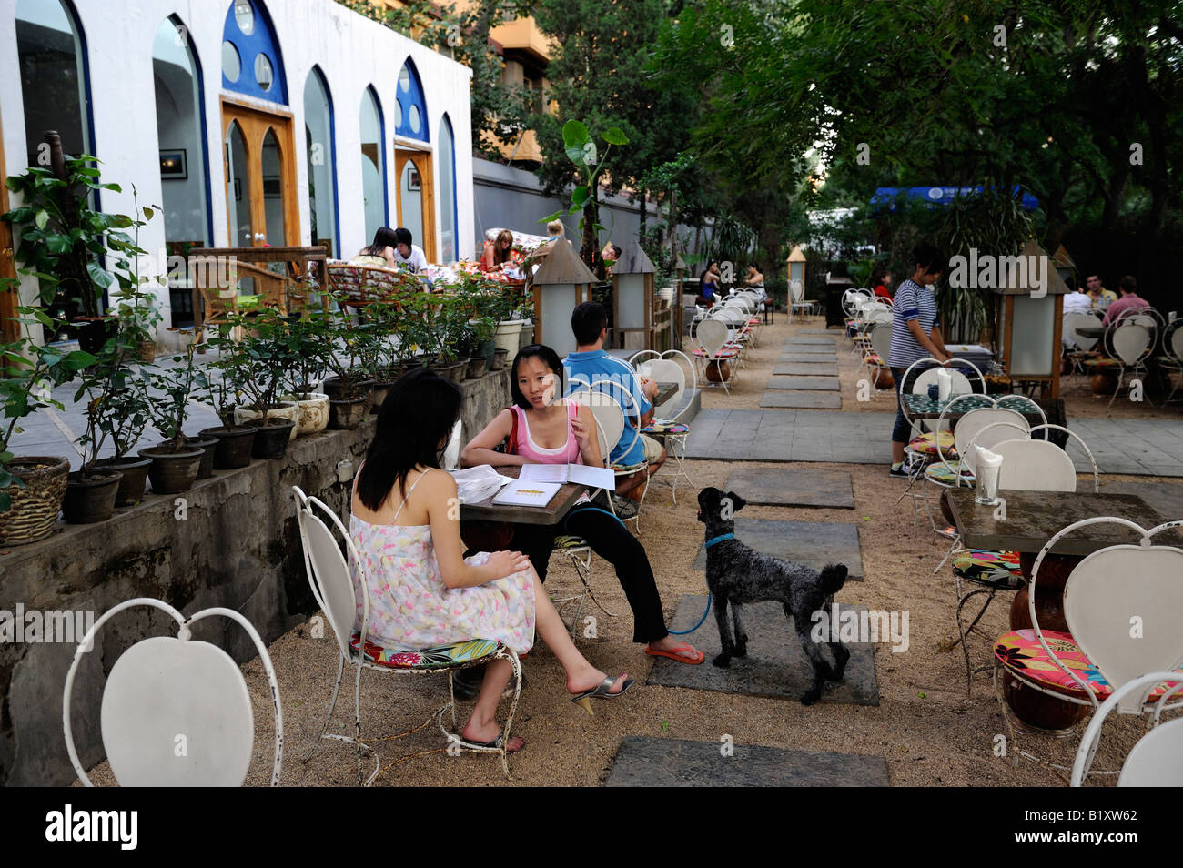Due Signore seduto in un bar con un cane in Sanlitun bar strade a Pechino in Cina. 06-lug-2008 Foto Stock