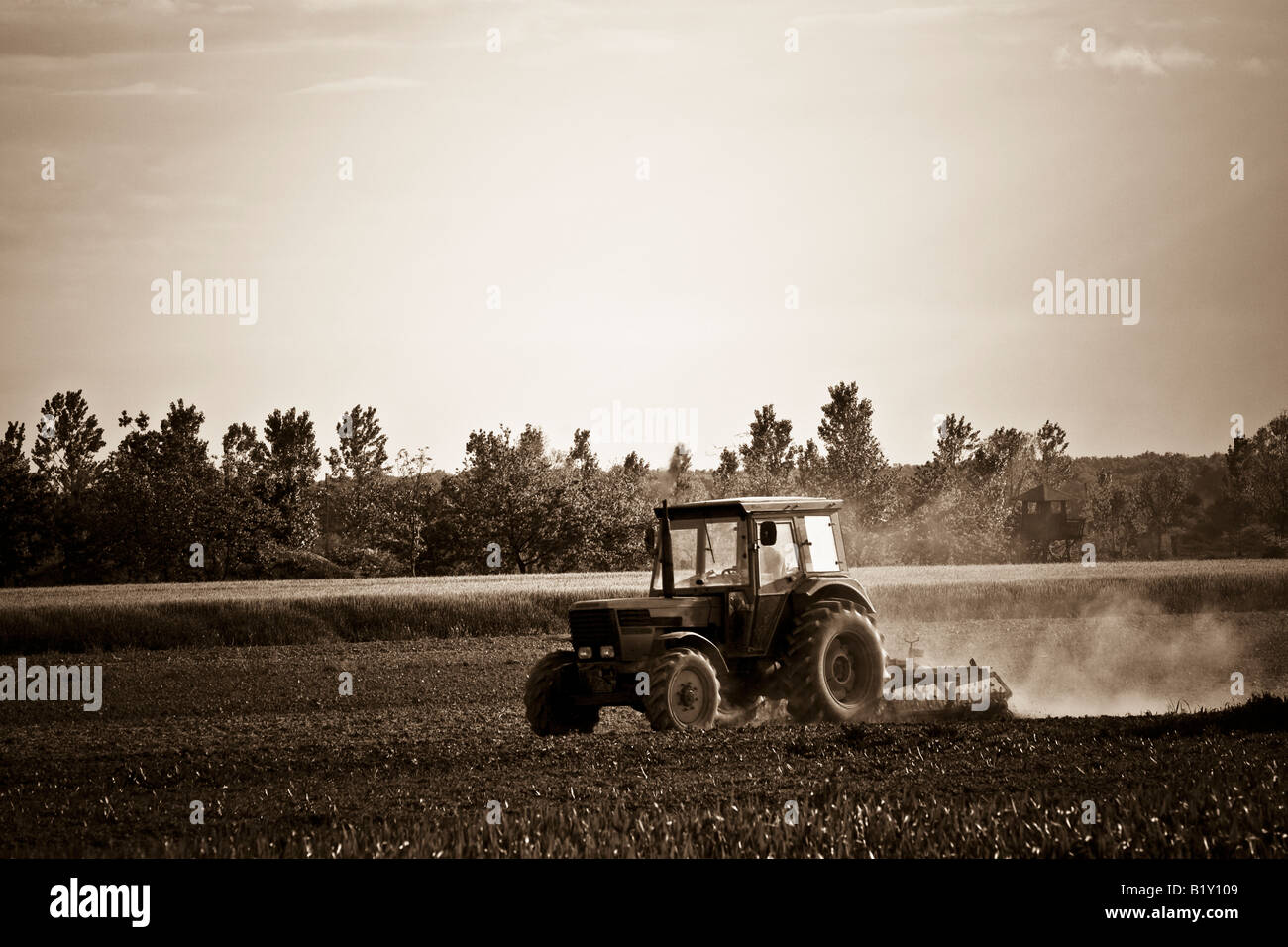 Il trattore arare il campo in seppia Foto Stock