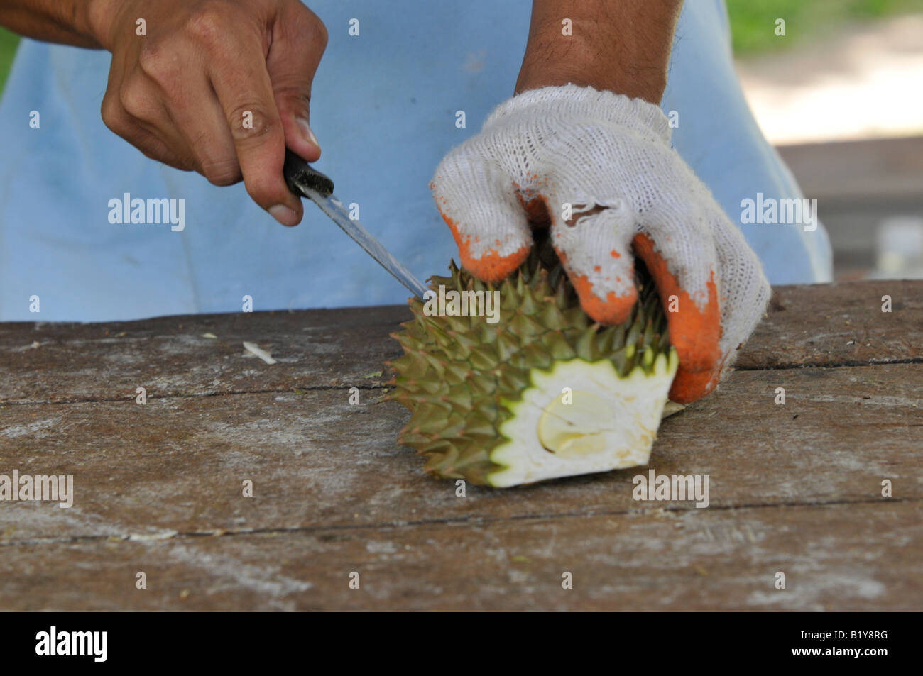 Il taglio di durian, il modo professionale , di Rayong Thailandia Foto Stock