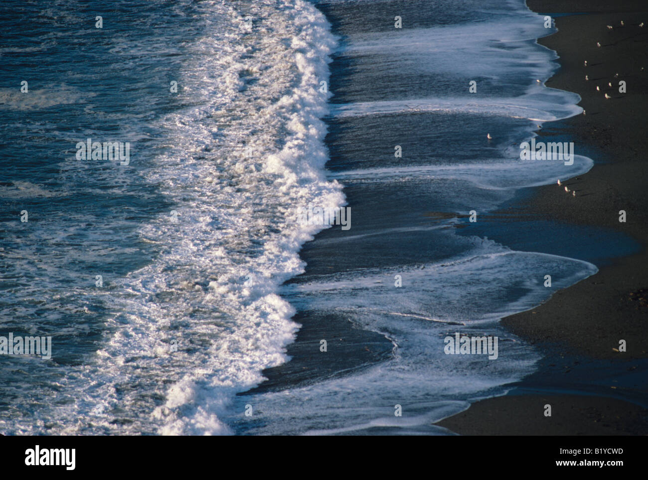 Surf pounding beach, oceano pacifico, California USA Foto Stock