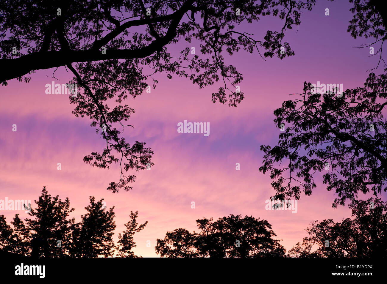 Tramonto da Willard Clay/Foto Dembinsky Assoc Foto Stock