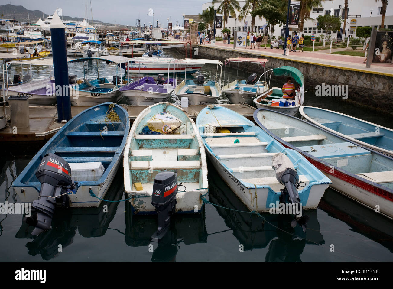 Marina di Cabo San Lucas, Messico Foto Stock