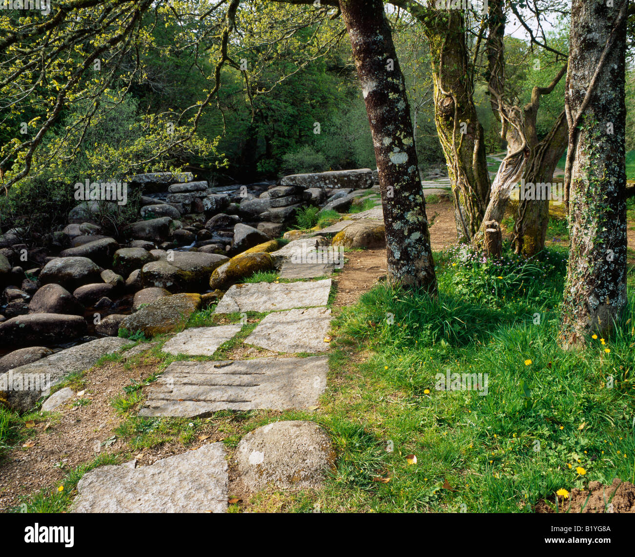 L'East Dart River e il vecchio ponte di clapper a Dartmeet a Dartmoor, Inghilterra. Foto Stock