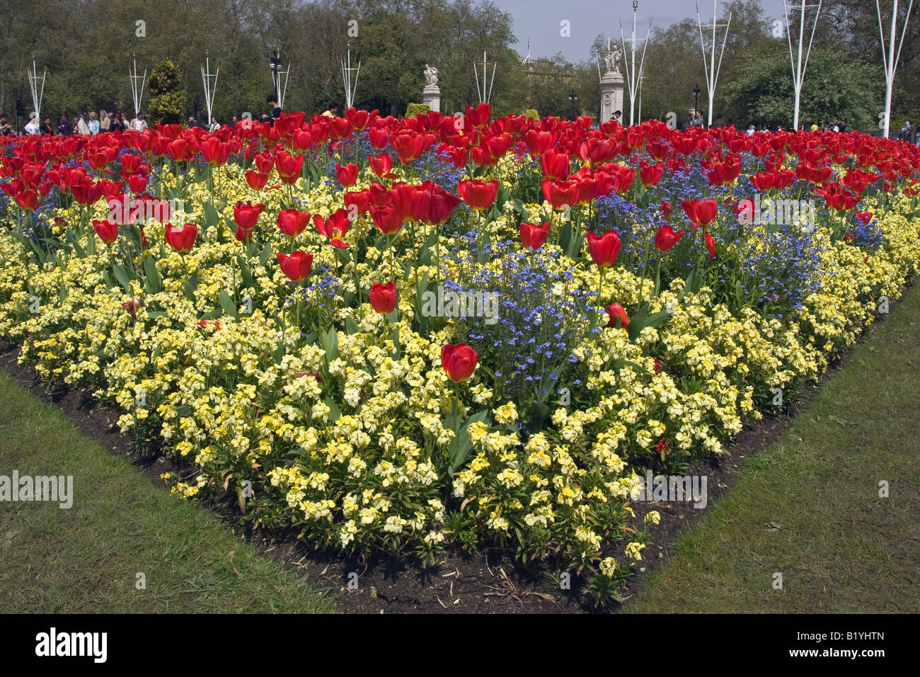 Tulipani di primavera presso il Memorial Gardens, vicino a Buckingham Palace Park, London Inghilterra England Foto Stock