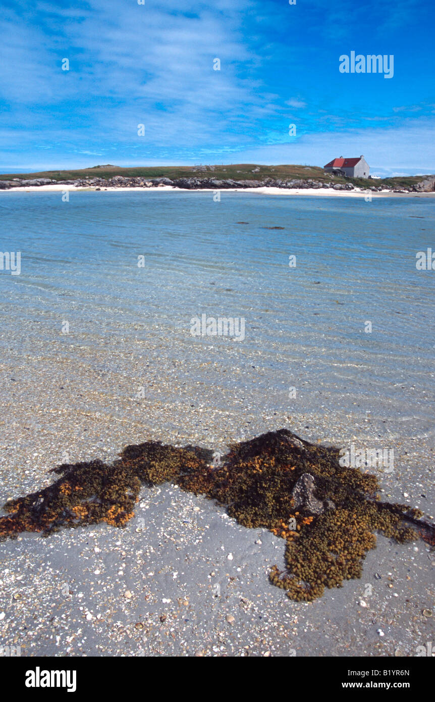Il Cockle strand Traigh Mhor Isle of Barra Western Isles della Scozia UK GB Foto Stock