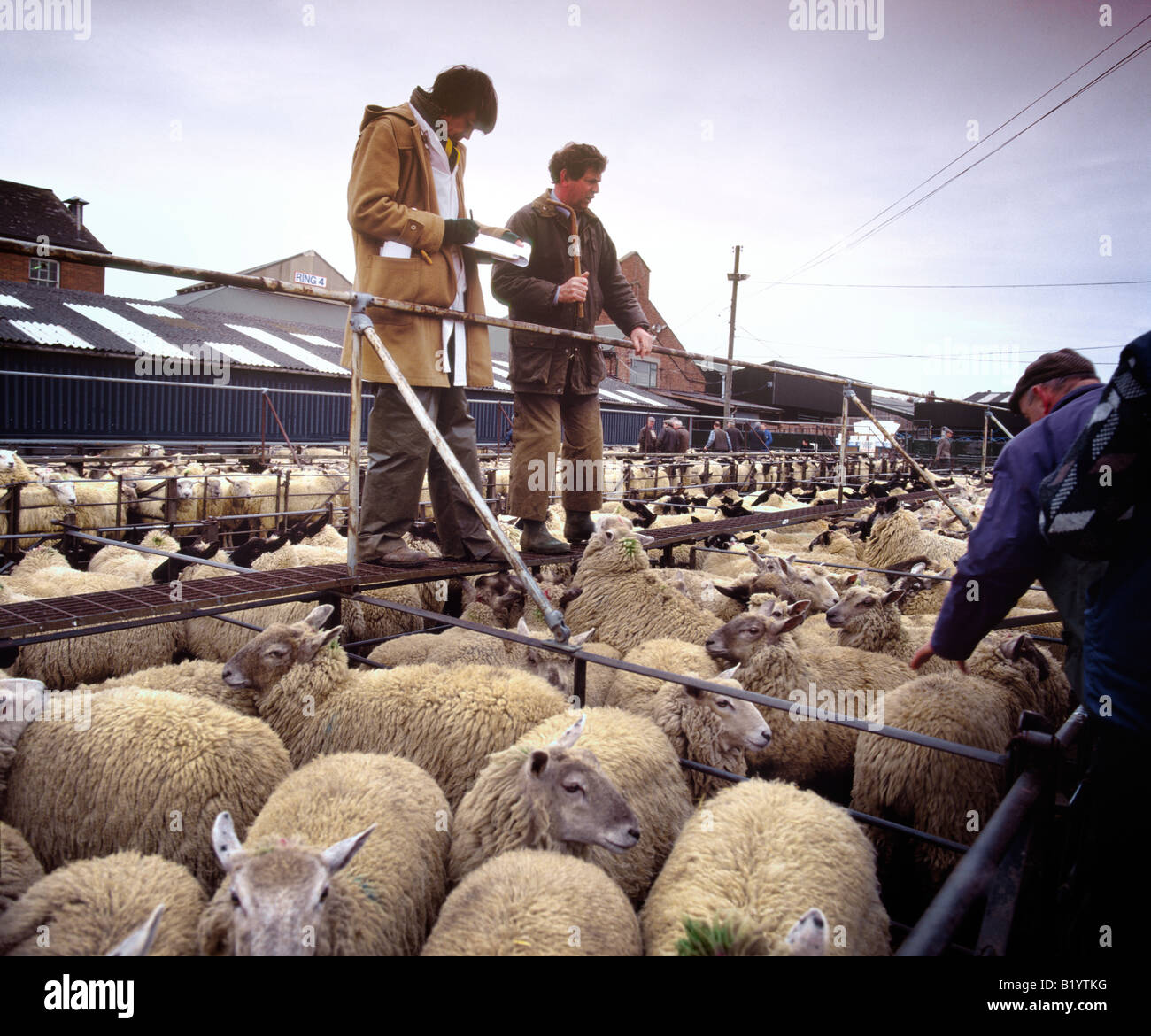 Banditore e assistente di stand al di sopra del bestiame al mercato di Banbury, Oxfordshire nel 1998, prima della chiusura del mercato Foto Stock