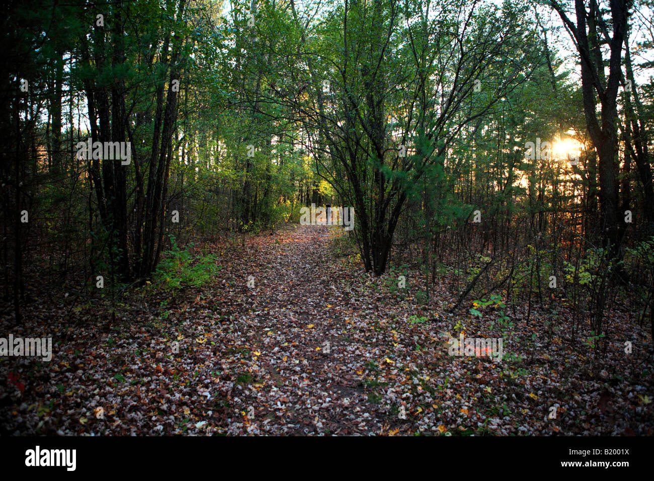 BACKPACKER SU ICE AGE sentiero tra la DUFFIN ROAD E STRADA GIOVANI IN Kettle Moraine la foresta di stato unità meridionale WALWORTH COUNTY WISC Foto Stock