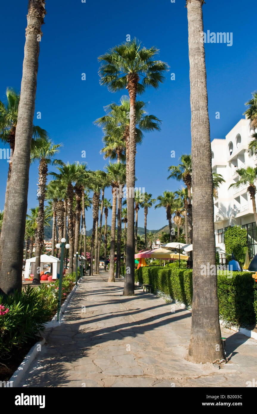 Alberi di palma cresce accanto al lungomare di Icmeler Marmaris Mugla Turchia Foto Stock