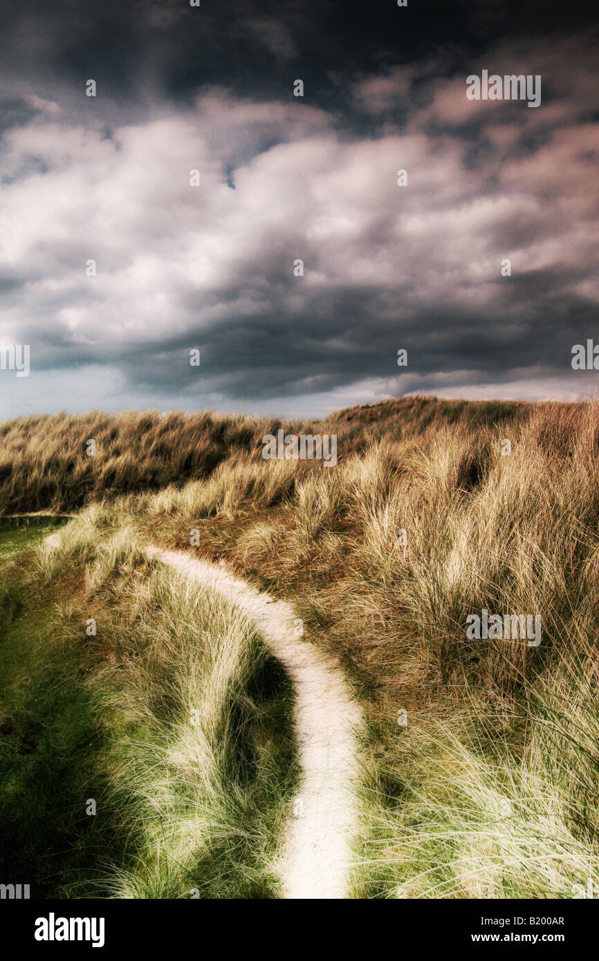 Un percorso attraverso le dune di sabbia Foto Stock