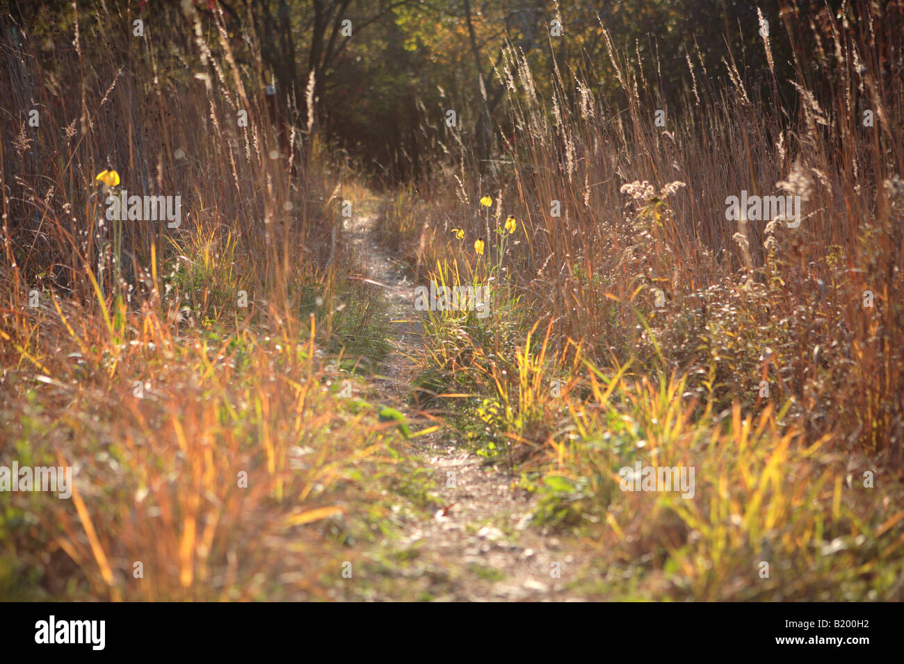 ICE AGE sentiero tra la strada est e Kettle Moraine DRIVE IN Kettle Moraine la foresta di stato unità meridionale WALWORTH COUNTY WISCON Foto Stock