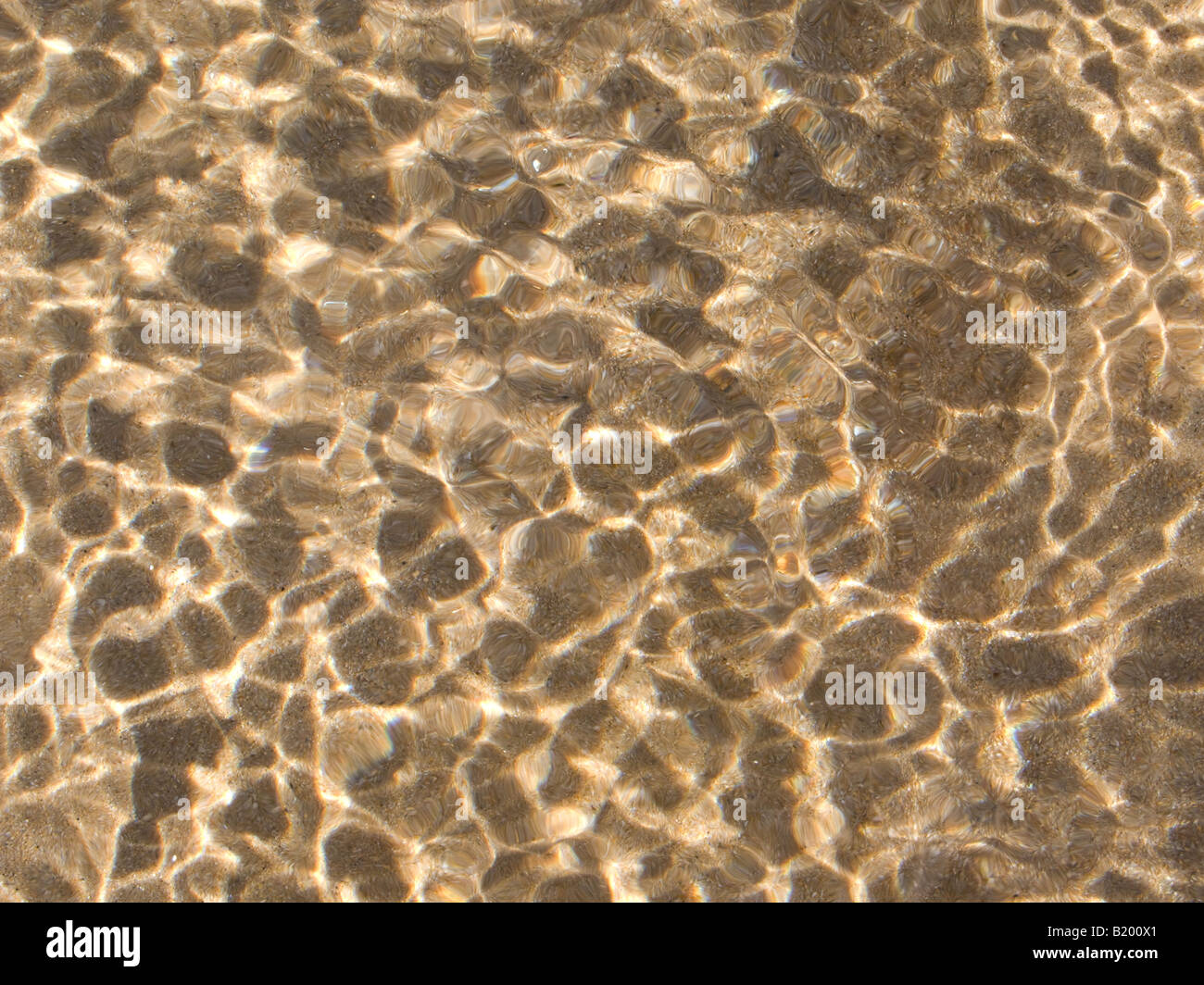 Acqua poco profonda in spiaggia con leopard spots efects Foto Stock