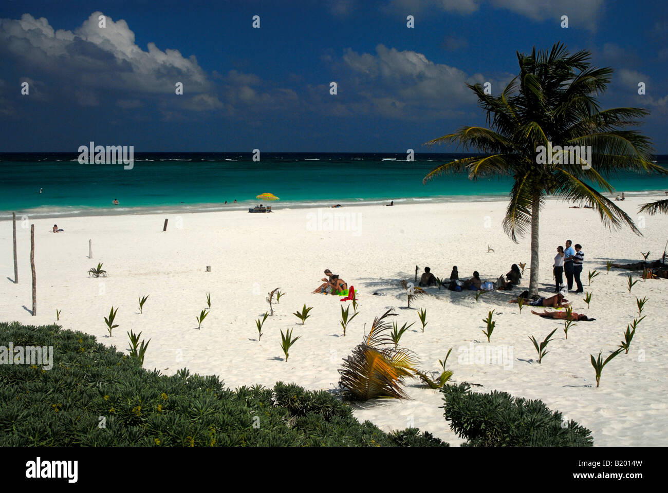 Spiaggia di Tulum, Yucatan, Messico Foto Stock
