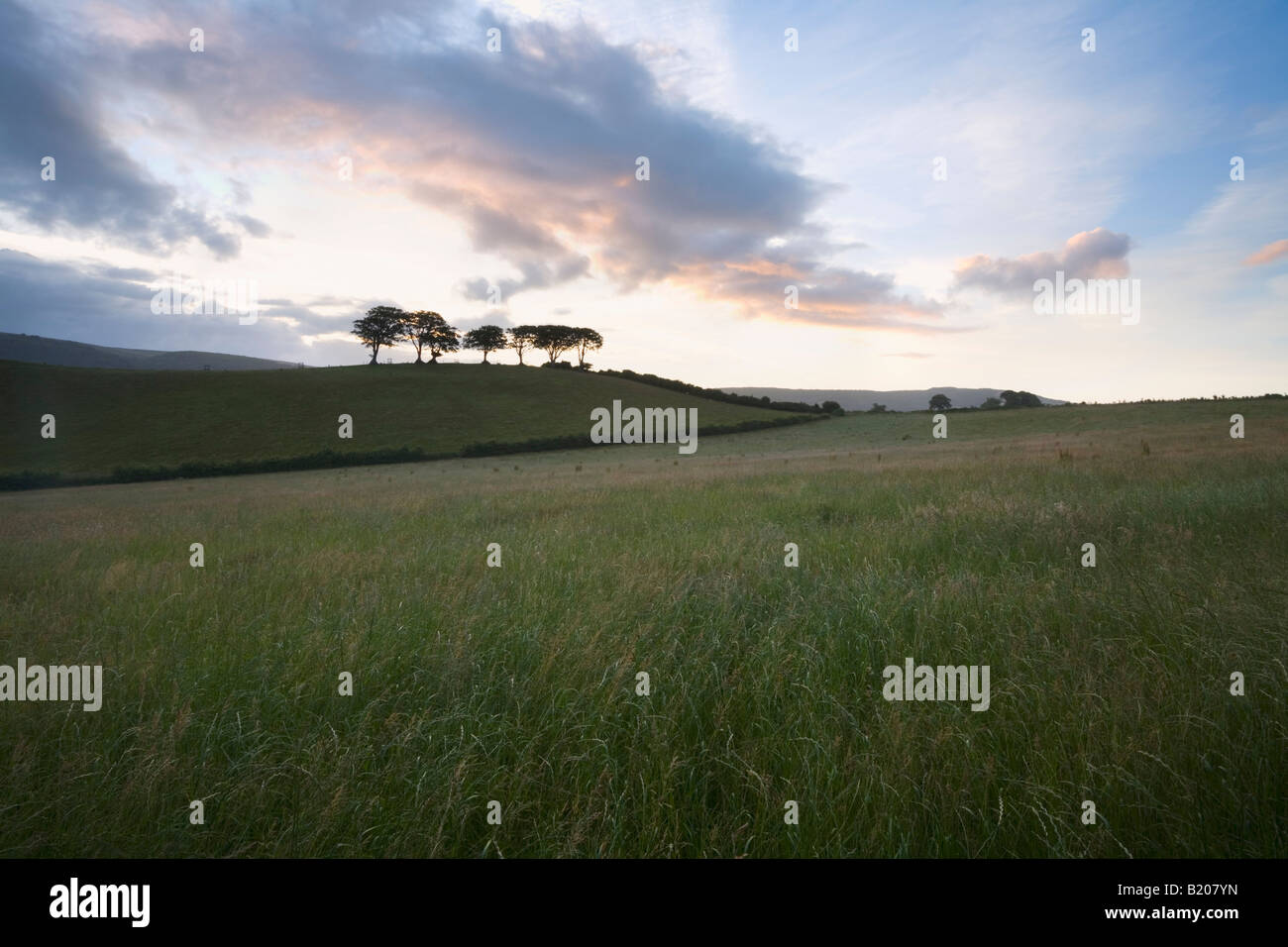 Alba cielo sopra un prato sul Holnicote Estate Parco Nazionale di Exmoor Somerset Inghilterra Foto Stock