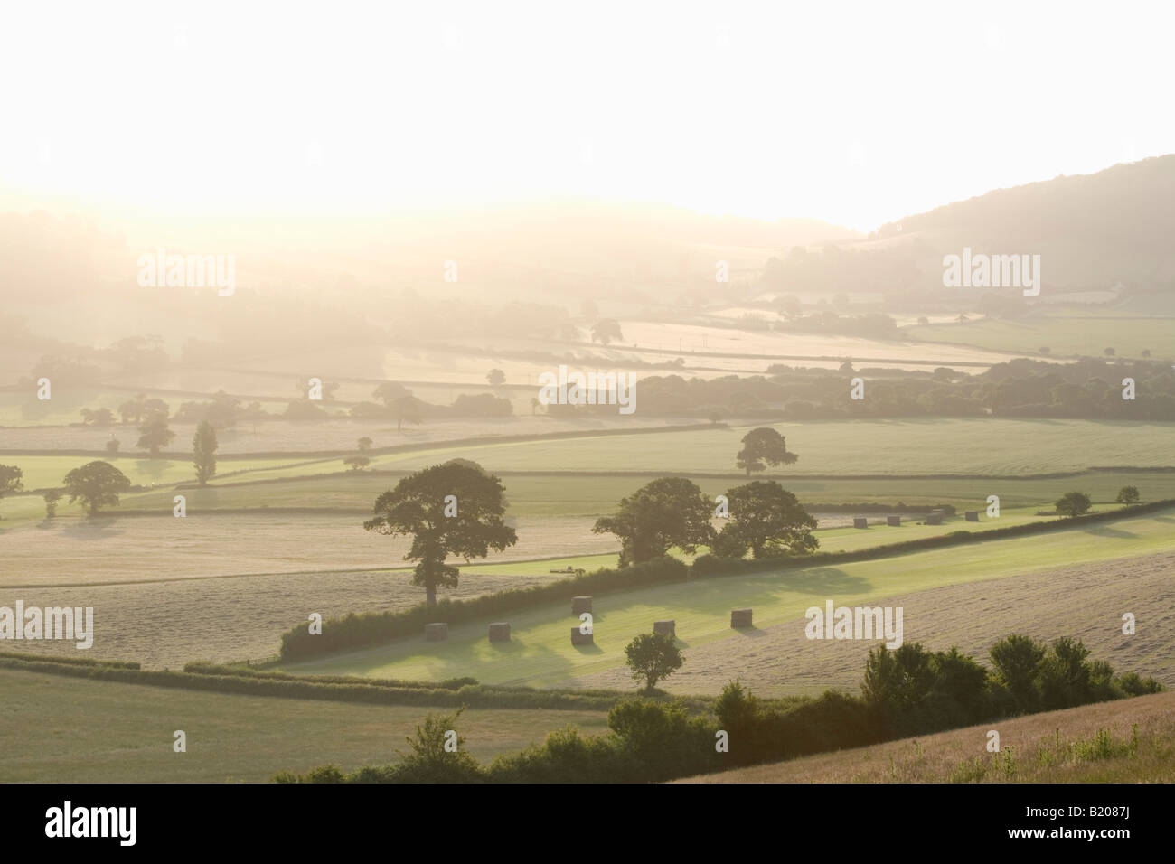 Prati sulla Holnicote Estate Parco Nazionale di Exmoor Somerset Inghilterra Foto Stock